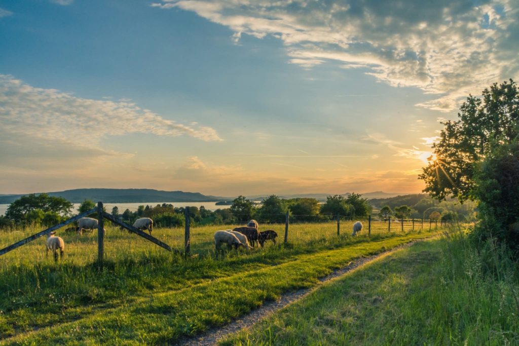 countryside-cropland-dawn-158179